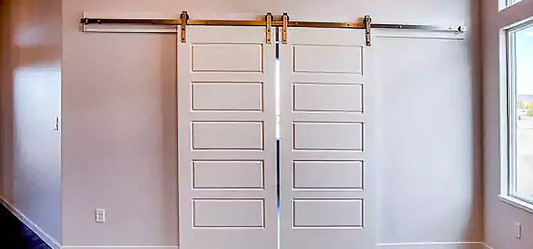Glass Barn Door with Installation Hardware Kit Vista