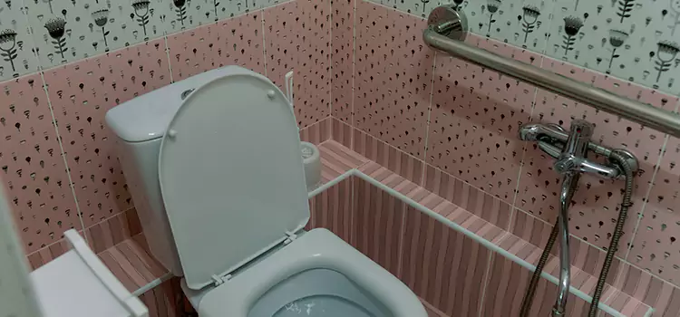 Meeting Diverse Needs With Accessible Restroom Solutions in Vista, CA