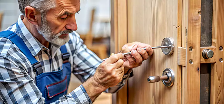 Mortise Replacement Lock Vista